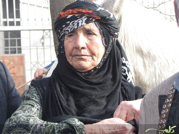 کوچ نمادین عشایر - جشنواره ملی صدای عشایر ایران کوچ نمادین عشایر - جشنواره ملی صدای عشایر ایران