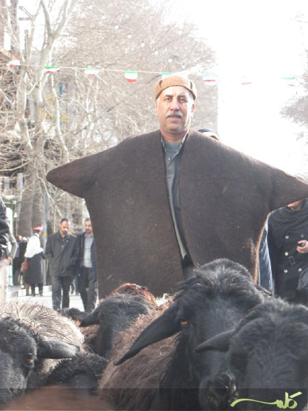 کوچ نمادین عشایر - جشنواره ملی صدای عشایر ایران کوچ نمادین عشایر - جشنواره ملی صدای عشایر ایران
